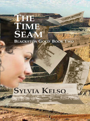 cover image of The Time Seam